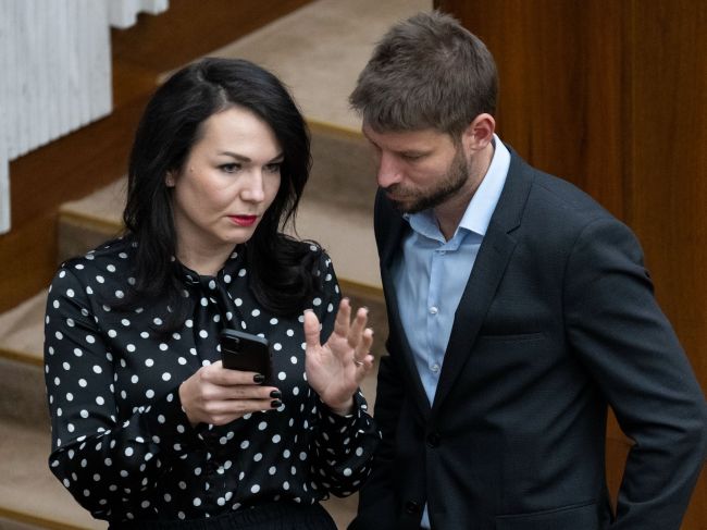 PS chce ísť do volieb samostatne, spájanie s inými stranami neplánuje