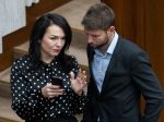 PS chce ísť do volieb samostatne, spájanie s inými stranami neplánuje