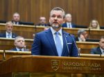 SaS: Prezident sa stotožnil so slovami opozície, bol však málo rázny