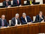 SNS chce zachovať jeden volebný obvod, návrh Hlasu nepodporí