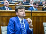 SaS podala trestné oznámenie pre zámenu pozemkov NSK za penzión