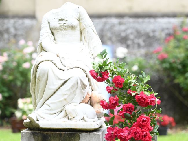 Dolná Krupá odštartovala Slávnosti ruží spolu s turistickými prehliadkami
