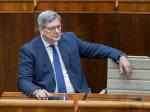Susko: MS nekonzultovalo s SNS paragrafov&eacute; znenie novely Trestn&eacute;ho z&aacute;kona