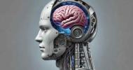 Spolovice človek a z druhej robot. Vedci vytvorili mozgový organoid, pomocou ktorého dokážu ovládať robota