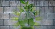 Nový „zelený betón“ zabíja dve muchy jednou ranou: Stane sa environmentálne prijateľnejším konštrukčným materiálom?