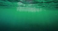 Oceány a moria neboli vždy modré. V minulosti boli zelené a neskôr zmenia farbu znova, takto budú vyzerať